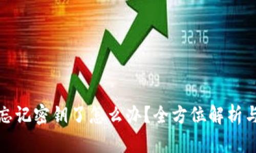 tpwallet忘记密钥了怎么办？全方位解析与解决方案
