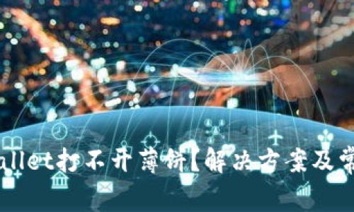 为什么tpWallet打不开薄饼？解决方案及常见问题解析