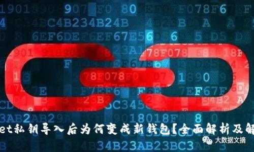 tpWallet私钥导入后为何变成新钱包？全面解析及解决方案