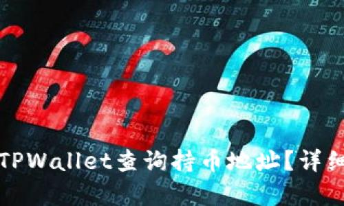 如何使用TPWallet查询持币地址？详细指南解析