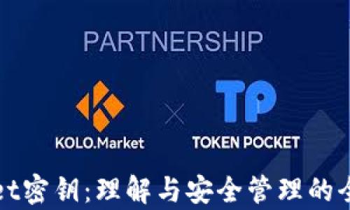 
tpWallet密钥：理解与安全管理的全面指南