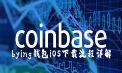 bying钱包iOS下载流程详解