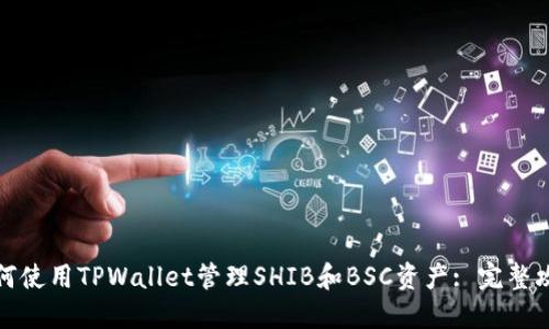 如何使用TPWallet管理SHIB和BSC资产: 完整攻略