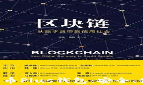 
全面解析区块链币Plus钱包：安全、使用、功能与前景