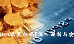 tpWallet是真的吗？深入解析与安全吗?