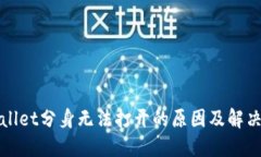 TPWallet分身无法打开的原因及解决方案