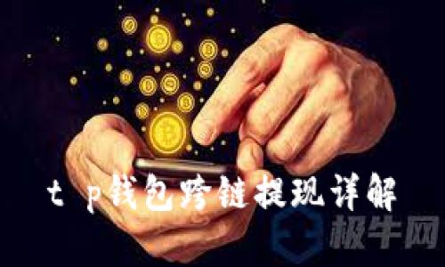 t p钱包跨链提现详解